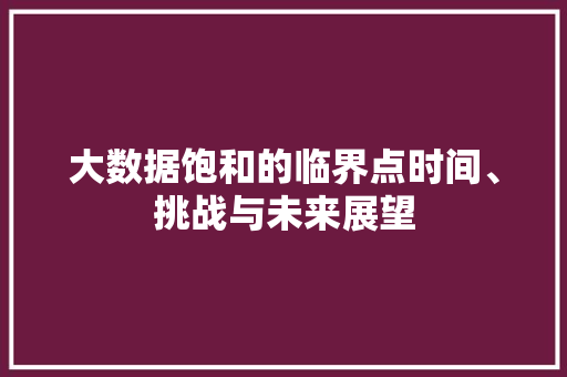 大数据饱和的临界点时间、挑战与未来展望