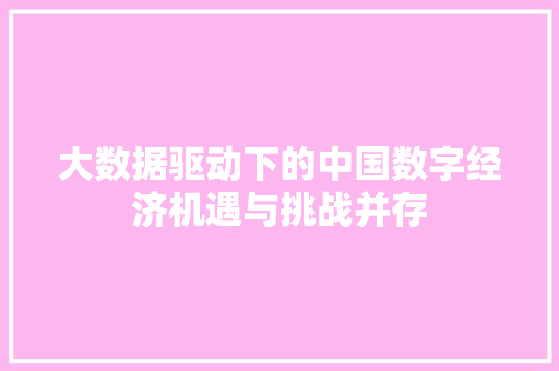 大数据驱动下的中国数字经济机遇与挑战并存