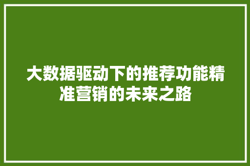 大数据驱动下的推荐功能精准营销的未来之路