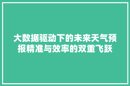 大数据驱动下的未来天气预报精准与效率的双重飞跃