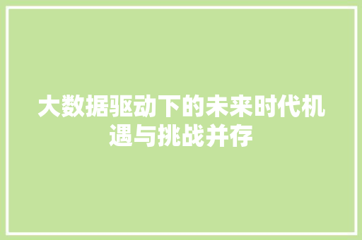 大数据驱动下的未来时代机遇与挑战并存