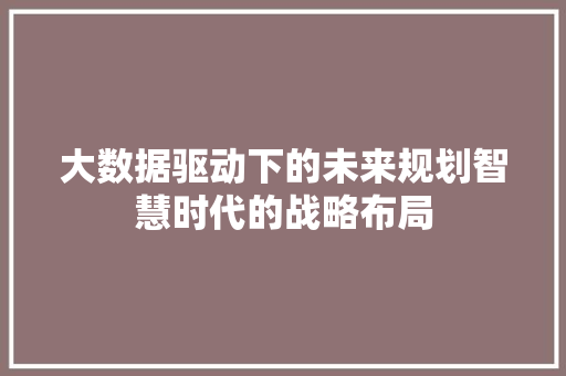 大数据驱动下的未来规划智慧时代的战略布局