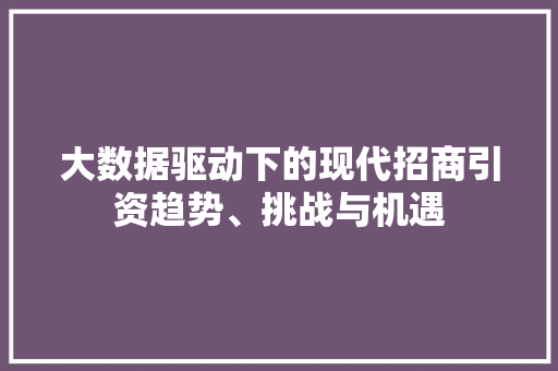 大数据驱动下的现代招商引资趋势、挑战与机遇