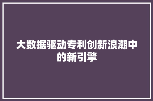 大数据驱动专利创新浪潮中的新引擎