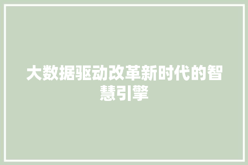 大数据驱动改革新时代的智慧引擎