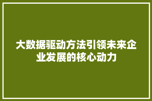大数据驱动方法引领未来企业发展的核心动力