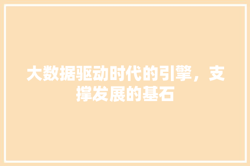 大数据驱动时代的引擎，支撑发展的基石