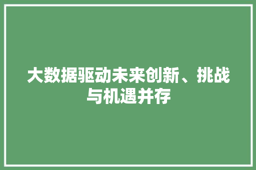 大数据驱动未来创新、挑战与机遇并存
