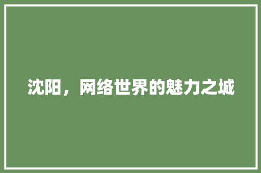 沈阳，网络世界的魅力之城