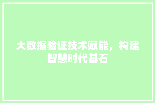 大数据验证技术赋能，构建智慧时代基石