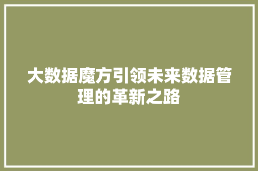 大数据魔方引领未来数据管理的革新之路