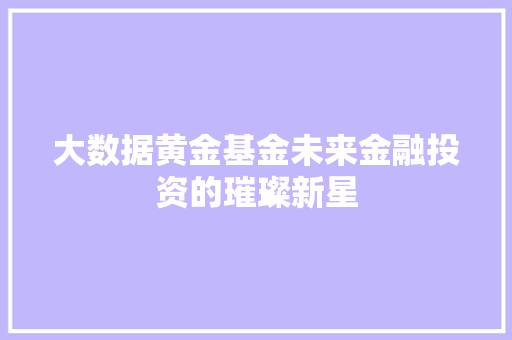 大数据黄金基金未来金融投资的璀璨新星