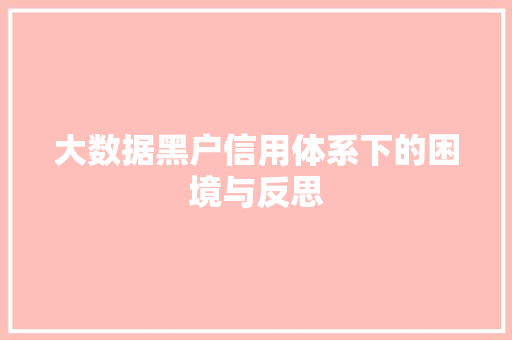 大数据黑户信用体系下的困境与反思