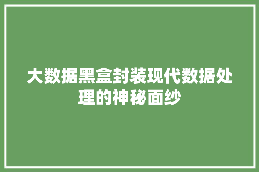 大数据黑盒封装现代数据处理的神秘面纱
