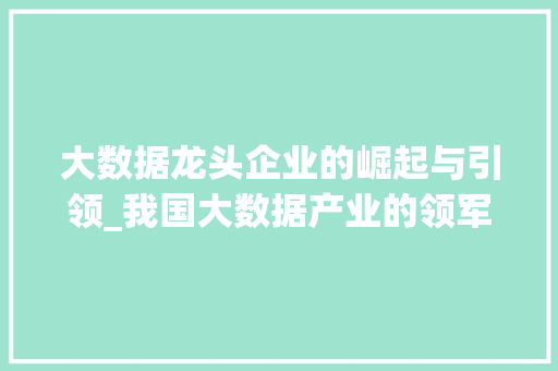 大数据龙头企业的崛起与引领_我国大数据产业的领军力量