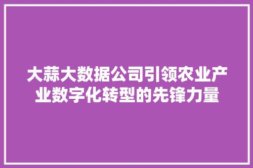 大蒜大数据公司引领农业产业数字化转型的先锋力量