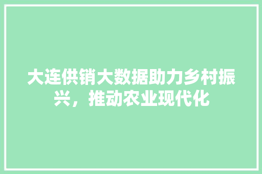 大连供销大数据助力乡村振兴，推动农业现代化