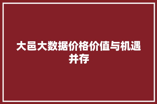 大邑大数据价格价值与机遇并存