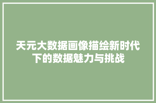 天元大数据画像描绘新时代下的数据魅力与挑战