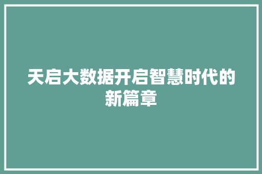 天启大数据开启智慧时代的新篇章