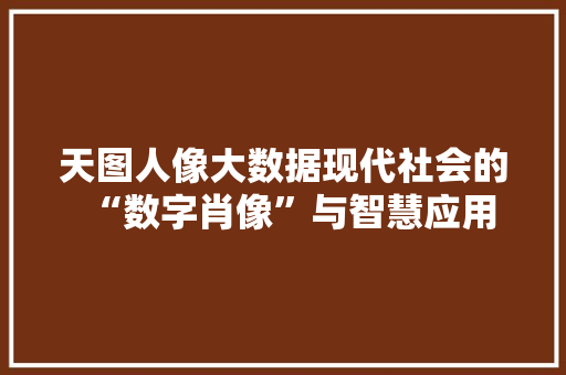 天图人像大数据现代社会的“数字肖像”与智慧应用
