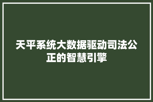 天平系统大数据驱动司法公正的智慧引擎