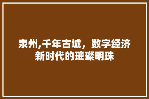 泉州,千年古城，数字经济新时代的璀璨明珠