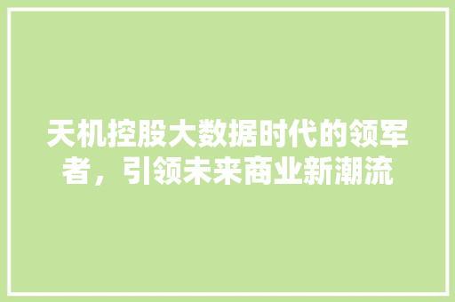 天机控股大数据时代的领军者，引领未来商业新潮流