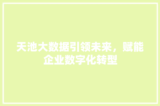 天池大数据引领未来，赋能企业数字化转型