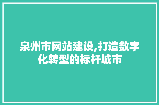 泉州市网站建设,打造数字化转型的标杆城市