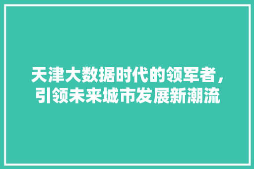 天津大数据时代的领军者，引领未来城市发展新潮流