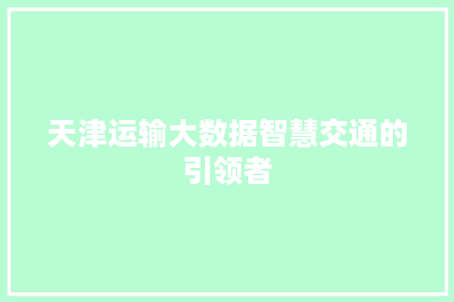 天津运输大数据智慧交通的引领者