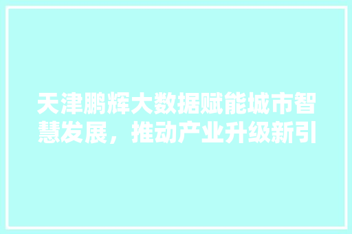 天津鹏辉大数据赋能城市智慧发展，推动产业升级新引擎