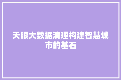 天眼大数据清理构建智慧城市的基石