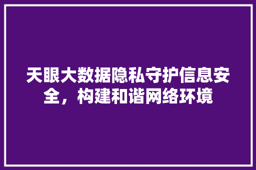 天眼大数据隐私守护信息安全，构建和谐网络环境
