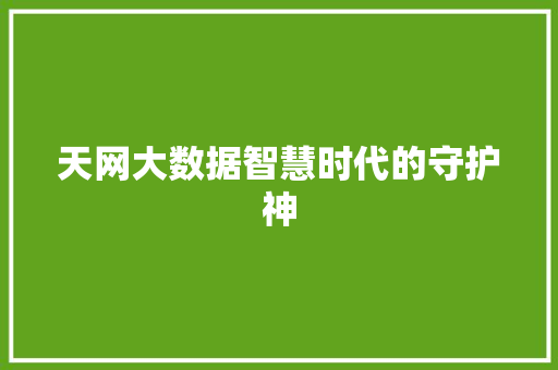 天网大数据智慧时代的守护神