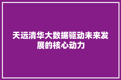 天远清华大数据驱动未来发展的核心动力