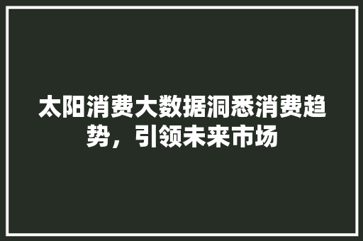 太阳消费大数据洞悉消费趋势，引领未来市场