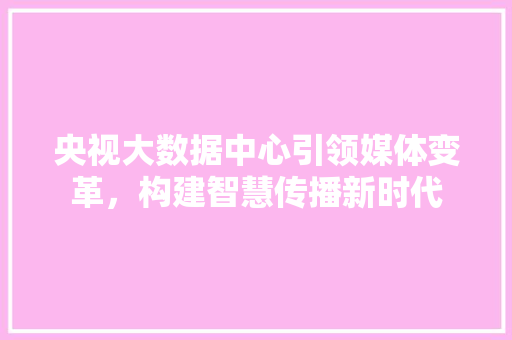 央视大数据中心引领媒体变革，构建智慧传播新时代