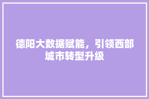 德阳大数据赋能，引领西部城市转型升级