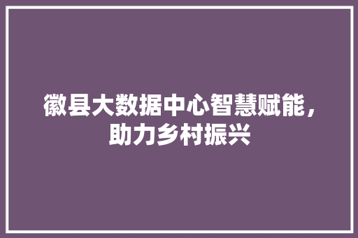 徽县大数据中心智慧赋能，助力乡村振兴