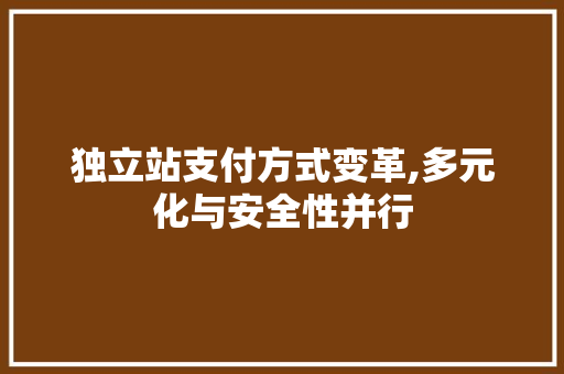 独立站支付方式变革,多元化与安全性并行