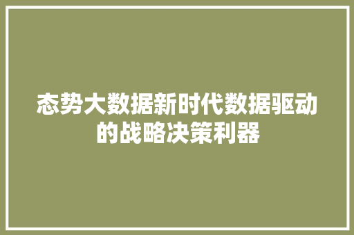 态势大数据新时代数据驱动的战略决策利器