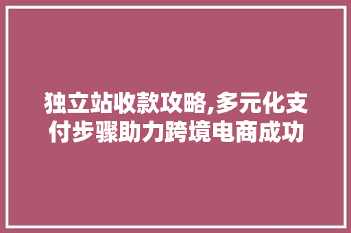 独立站收款攻略,多元化支付步骤助力跨境电商成功