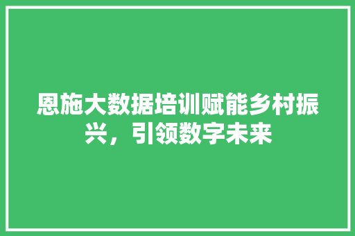 恩施大数据培训赋能乡村振兴，引领数字未来