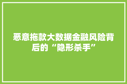 恶意拖款大数据金融风险背后的“隐形杀手”