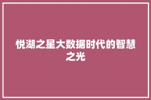 悦湖之星大数据时代的智慧之光