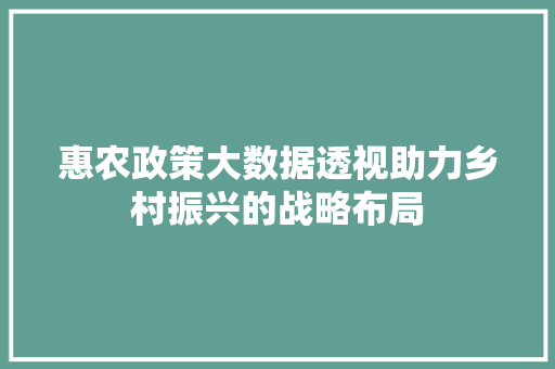 惠农政策大数据透视助力乡村振兴的战略布局