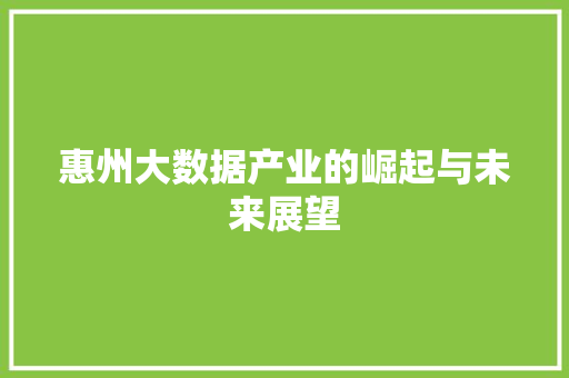 惠州大数据产业的崛起与未来展望
