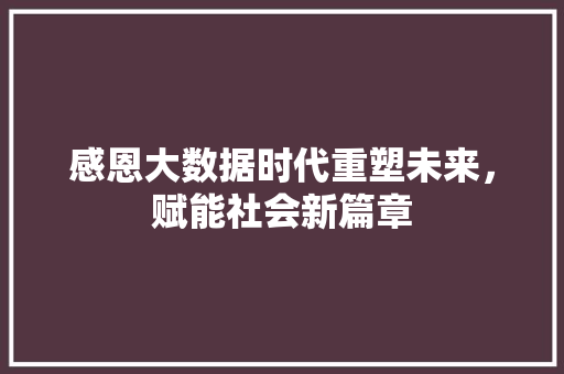 感恩大数据时代重塑未来，赋能社会新篇章